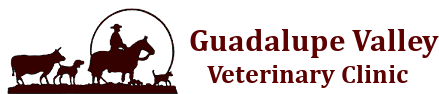 Guadalupe Valley Veterinary Clinic Logo