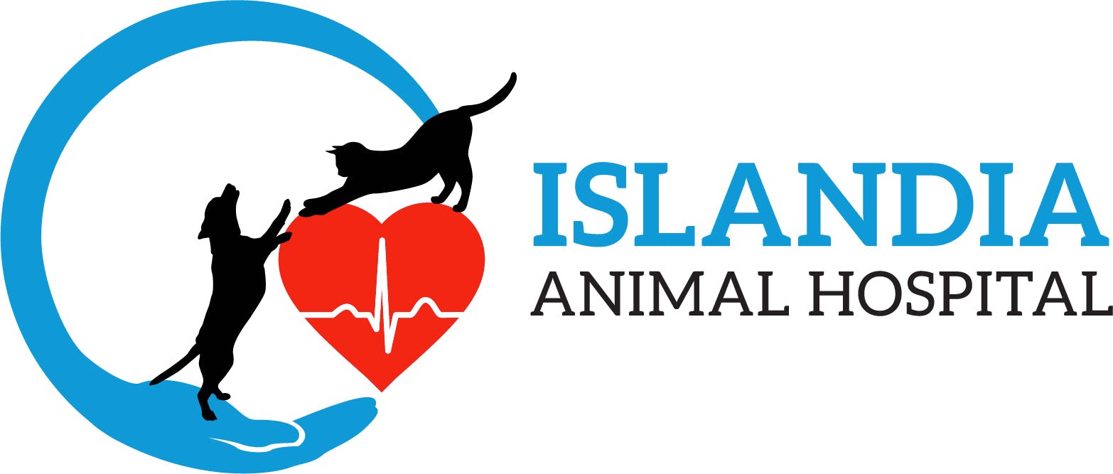 Islandia Animal Hospital Logo