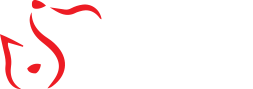 Animal Medical Clinic of Gulf Gate Logo