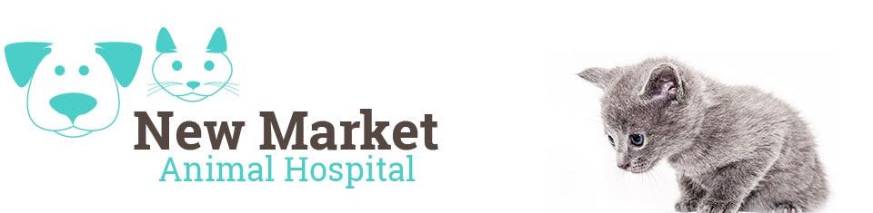 New Market Animal Hospital Logo