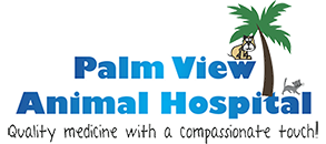 Palm View Animal Hospital Logo