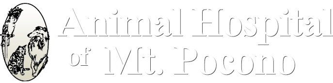 Animal Hospital of Mt. Pocono Logo