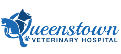 Queenstown Veterinary Hospital Logo