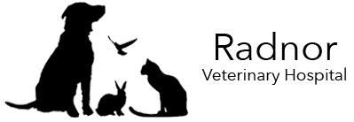 Radnor Veterinary Hospital Logo