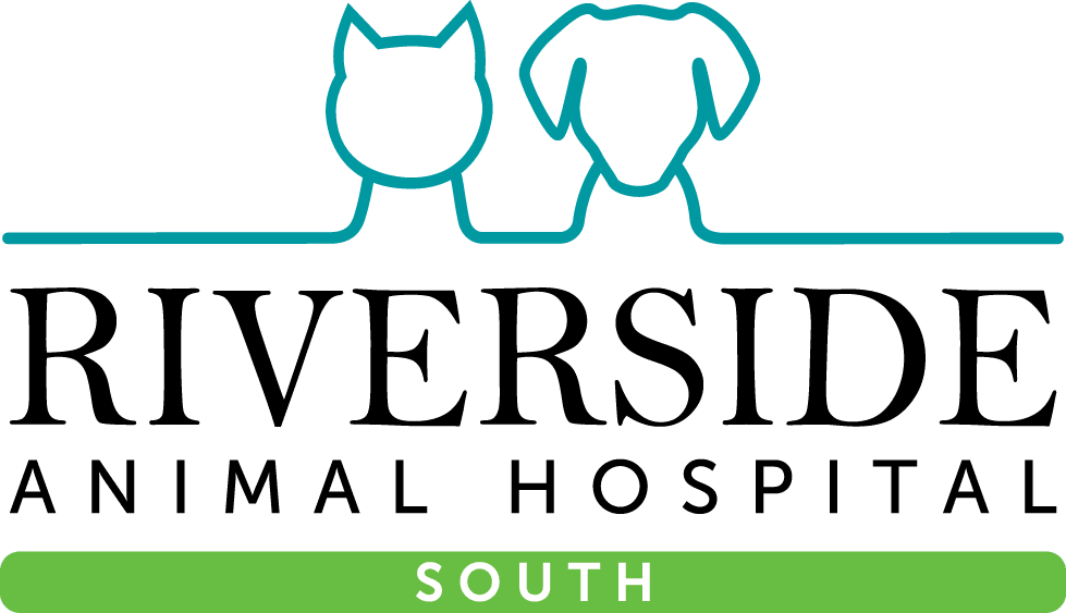 Riverside Animal Hospital South Logo
