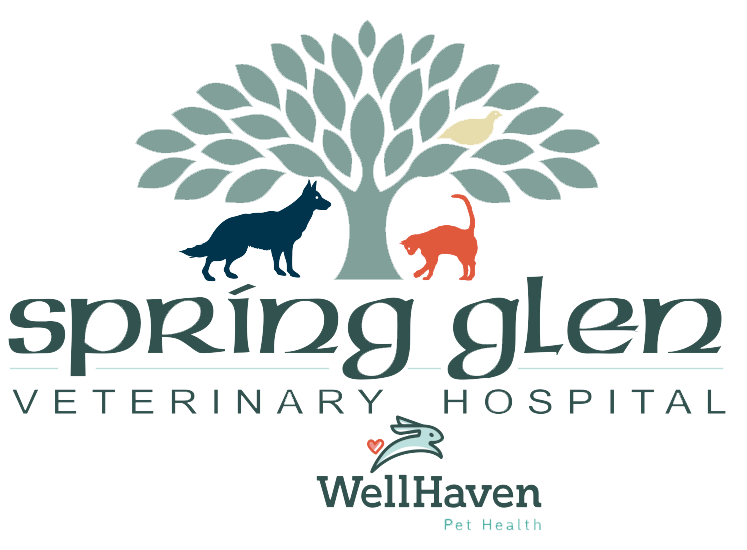 Spring Glen Veterinary Hospital Logo