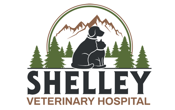 Shelley Veterinary Hospital Logo