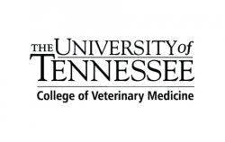 University of Tennessee College of Veterinary Medicine Logo