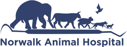 Norwalk Animal Hospital Logo