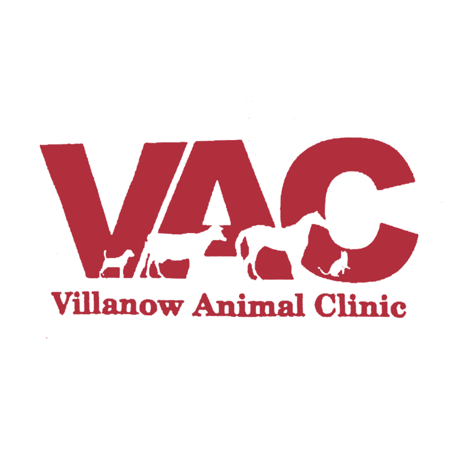 Villanow Animal Clinic Logo