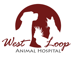 West Loop Animal Hospital Logo