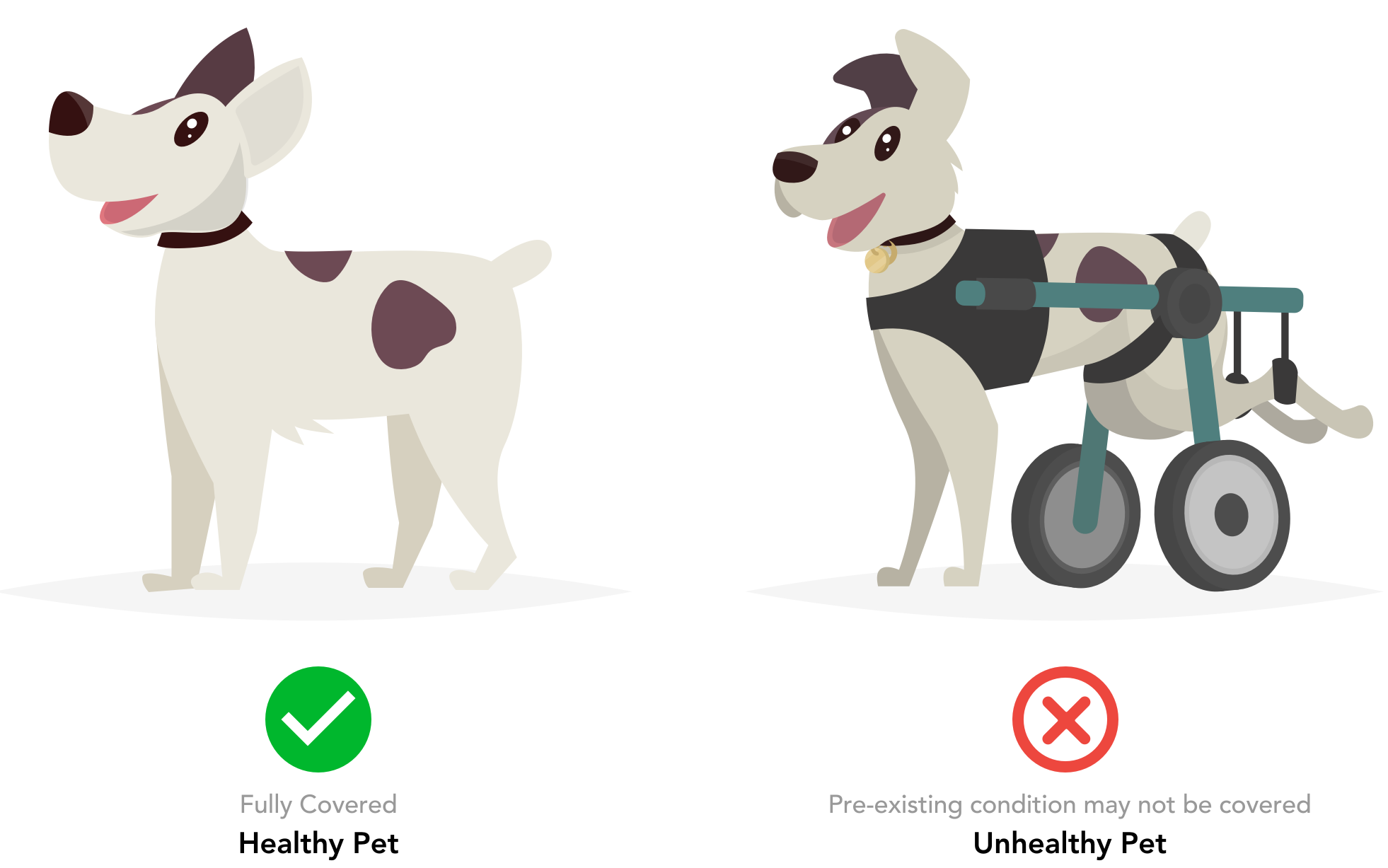 A dog that can be covered by pet insurance because he has no pre-existing conditions, and a dog who won't be covered by pet insurance for their pre-existing condition.
