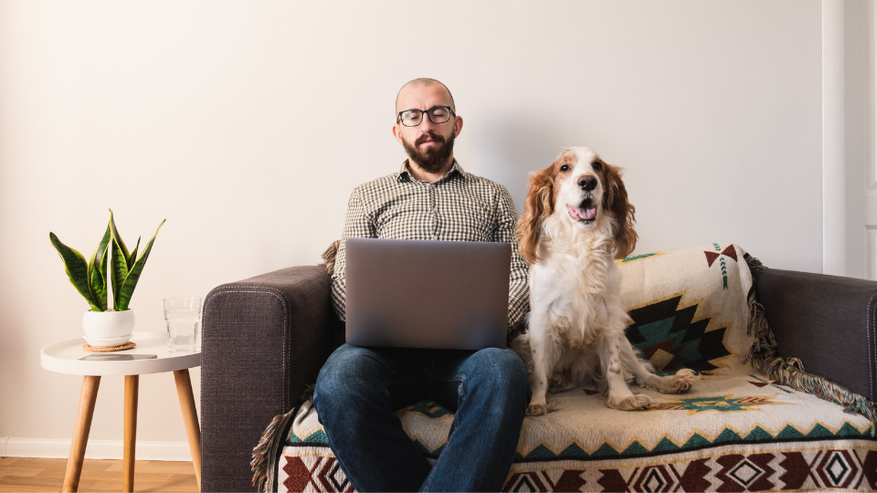 In our review of Companion Protect Pet Insurance, we compare pros and cons, like the lack of mandatory waiting periods and per-incident deductibles.