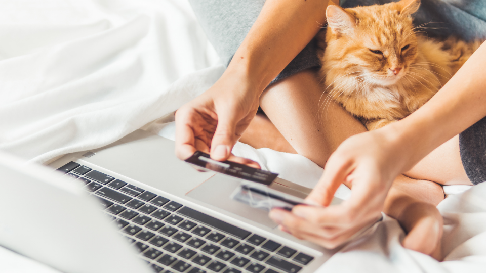 How and where to buy insurance for your cat? Check out our guide on buying cat insurance, including types of coverage, cost, getting the best deal, and more.