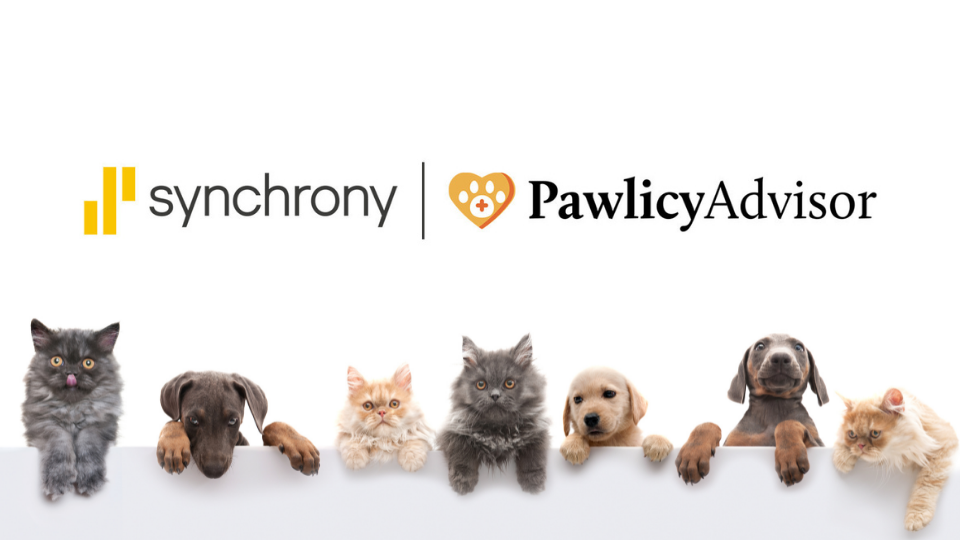 Synchrony and Pawlicy Advisor logos with pets