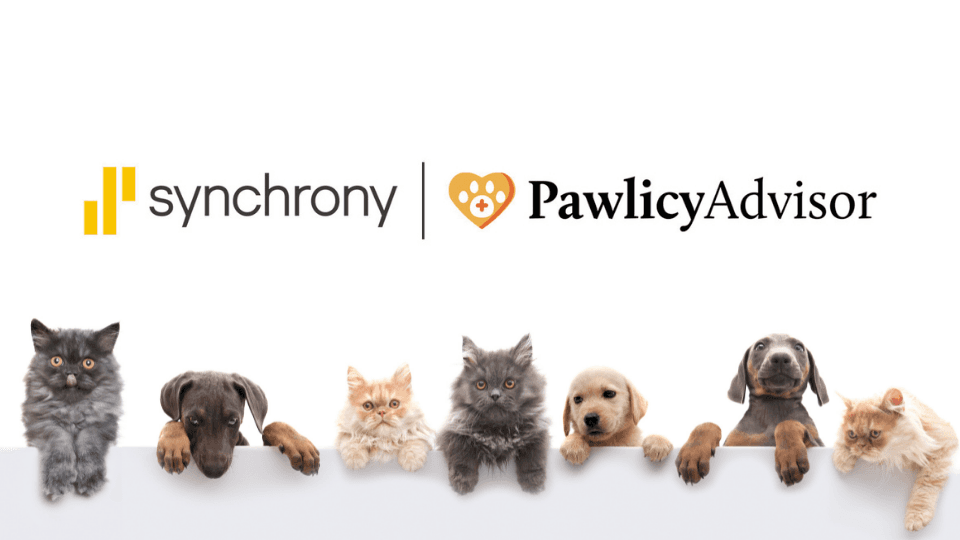 Synchrony and Pawlicy Advisor logos with pets