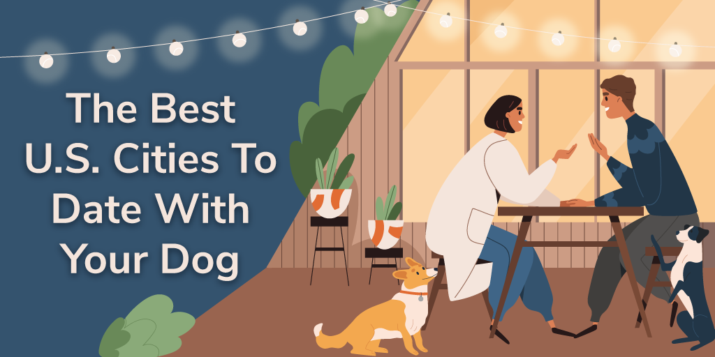 A header image for a blog about the best cities to date with your dog
