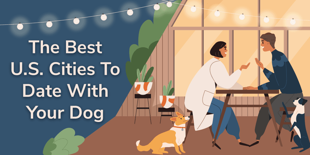 A header image for a blog about the best cities to date with your dog