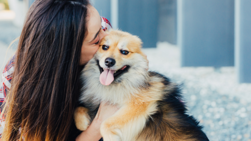 Owner gives kiss on cheek to smiling, happy dog