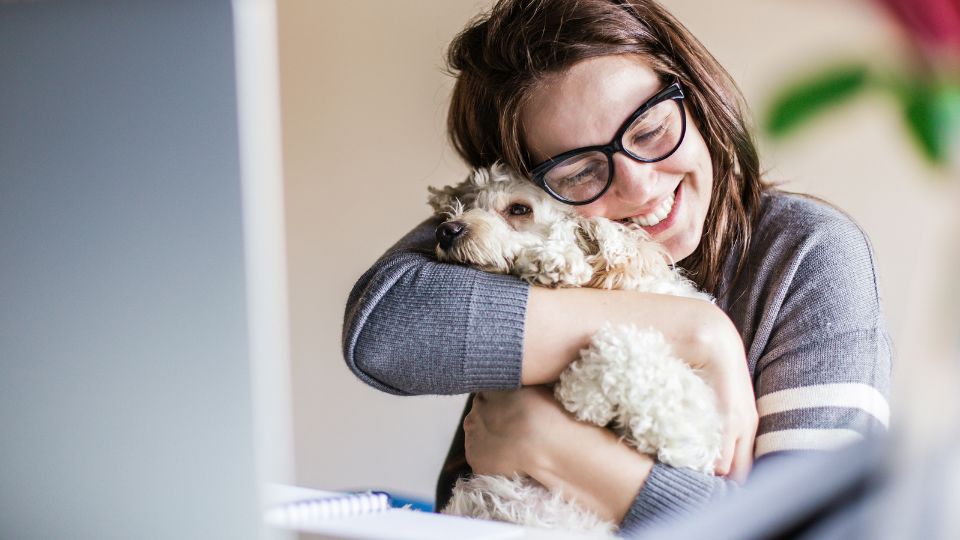 Is ManyPets Pet Insurance the best option for you? Learn more about the company’s policies, prices, unique features, and more in our ManyPets insurance review.