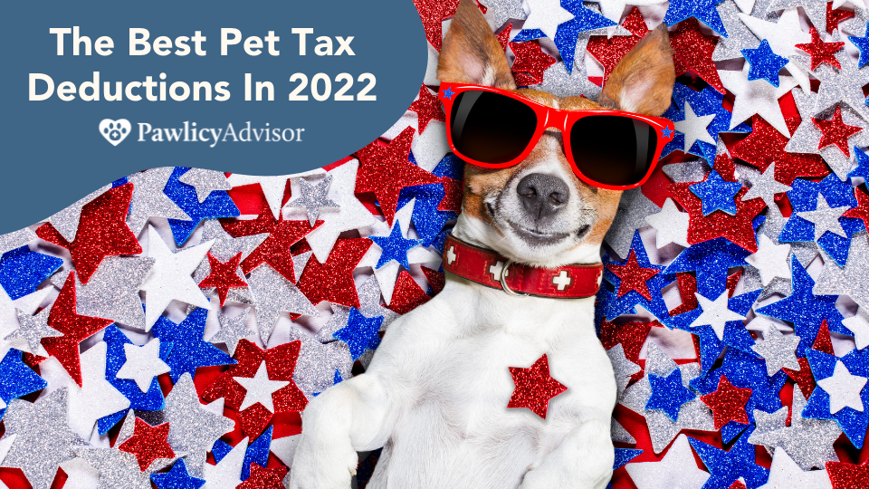pet tax deductions 2022