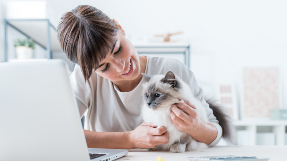 Read our VPI Pet Insurance review to learn about the company's rates, coverage details, and more to see how this option compares to other providers.
