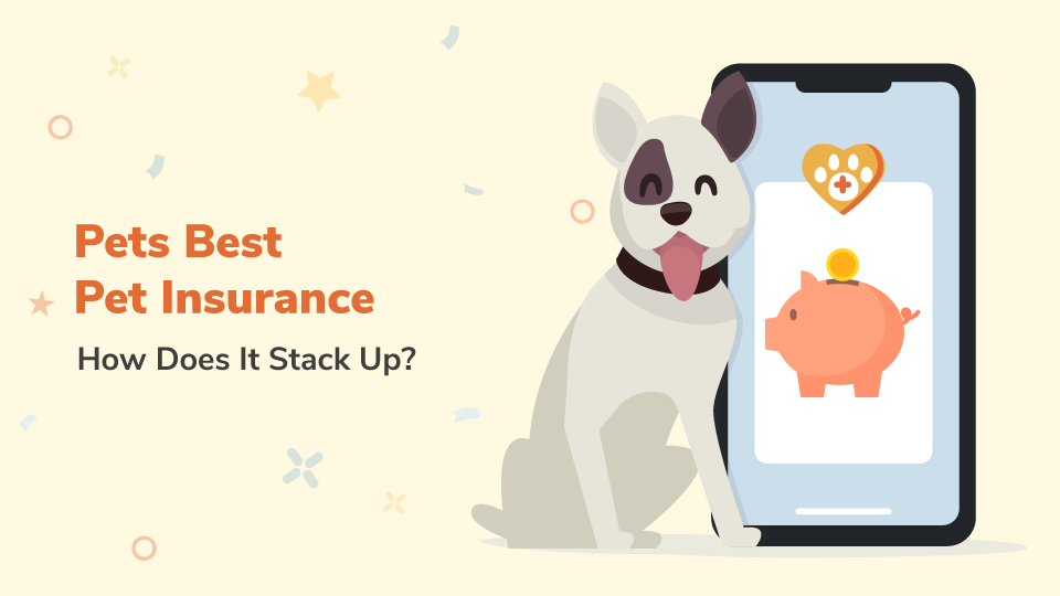 If you're comparing pet insurance companies, Pets Best Pet Insurance could be a great option for your four-legged friend. Learn more in our Pets Best company review so you can choose a provider with confidence.