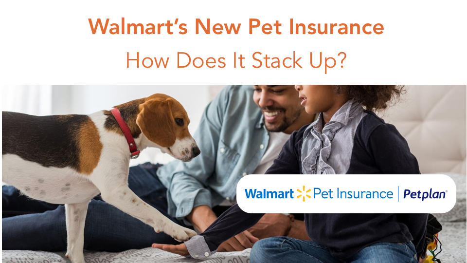 Is Walmart's new pet insurance good? Let's take an objective look at how it stacks up to other pet insurance companies in the industry.