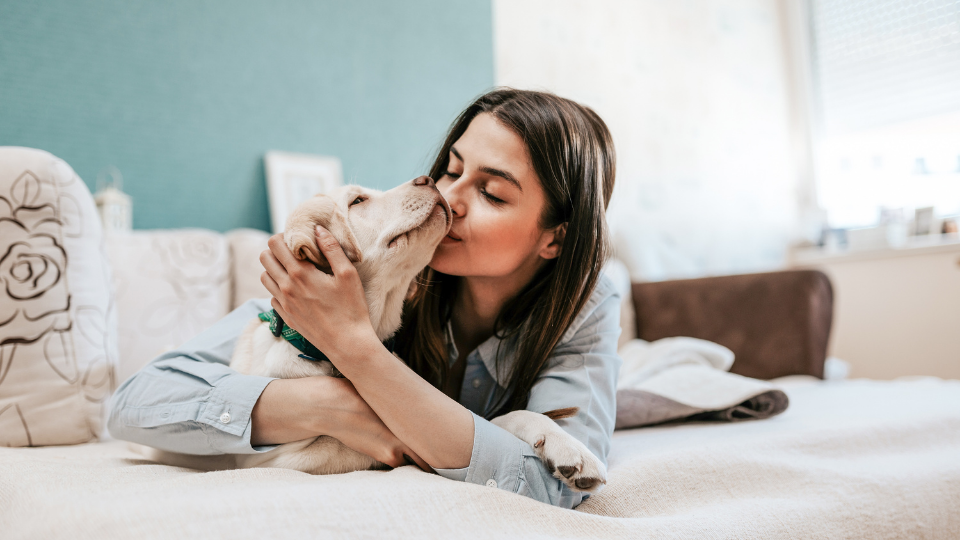 Is Petco Pet Insurance the best option for you and your pet? Find out more about the company’s plans, pricing, waiting periods, and more to see how it compares to other pet insurers.