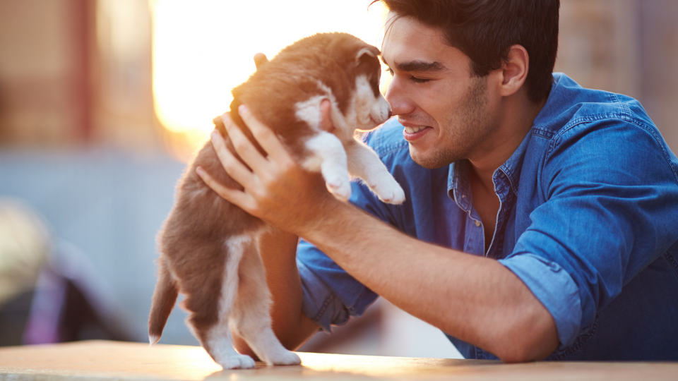 Learn when to get pet insurance, why you might hold off on enrollment, and how insurance coverage can be more valuable during certain times of the year.