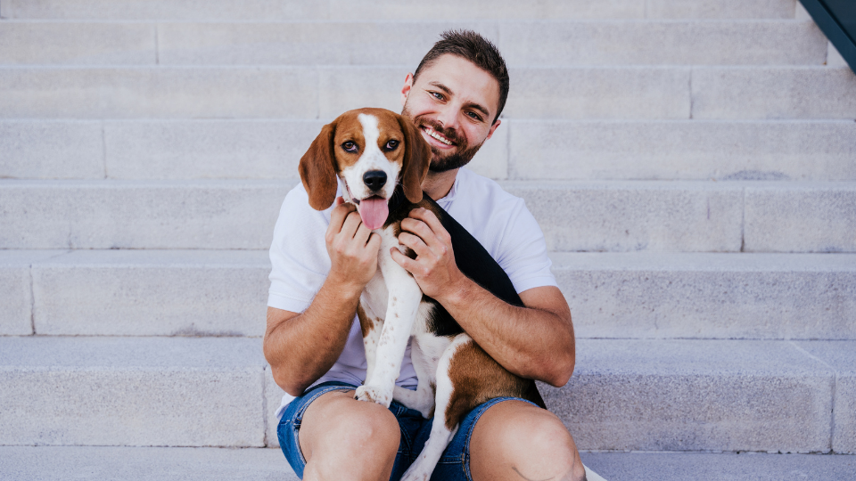 Man holding beagle dog