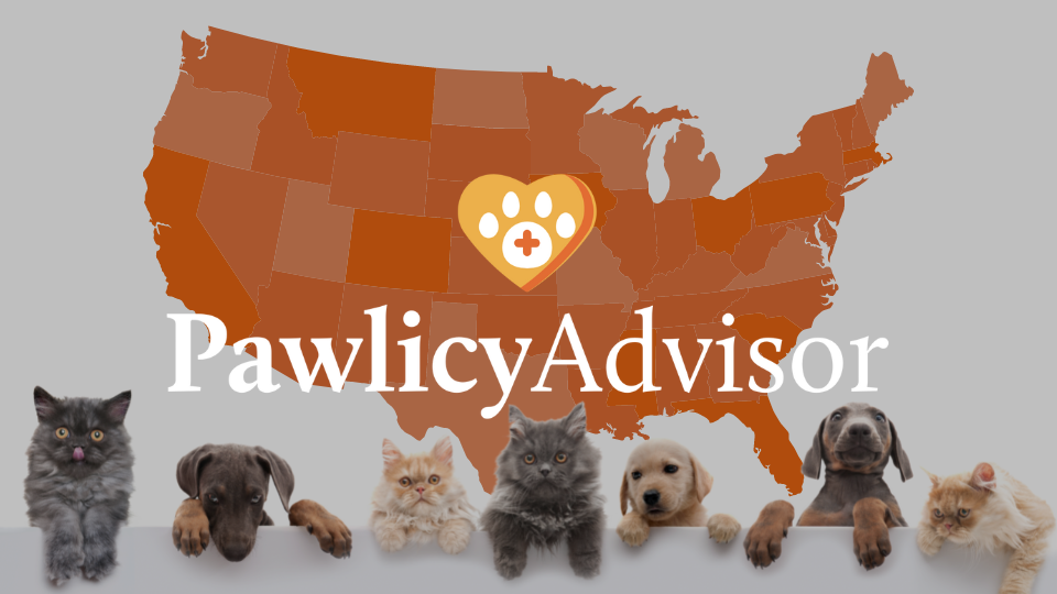 Pawlicy Advisor announces a $12 million Series B funding round led by StepStone Group and its expansion into veterinary corporate groups to modernize pet insurance education across the country.