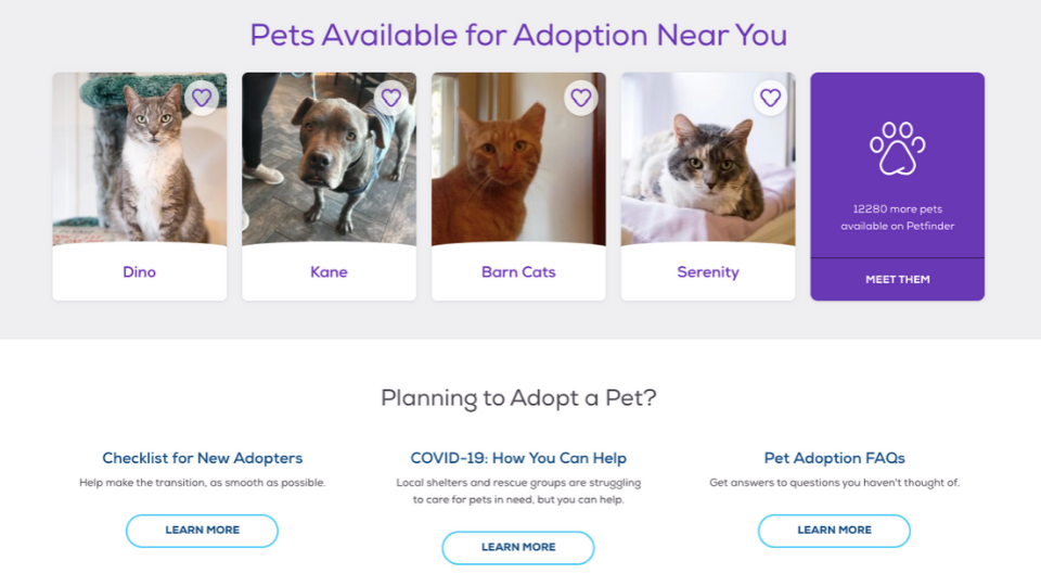 Petfinder has been helping pets get adopted for over 20 years. Here's everything you need to know to use the tool - from the reasons Petfinder was started and how they maintain their reputation, to how Petfinder directly helps pet adoptions.