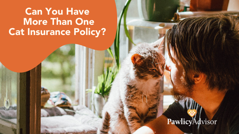 Find out if you can insure your cat twice and whether it is possible to make the same claim with two providers.