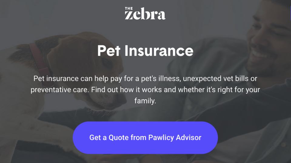 get pet insurance through Pawlicy Advisor on TheZebra.com