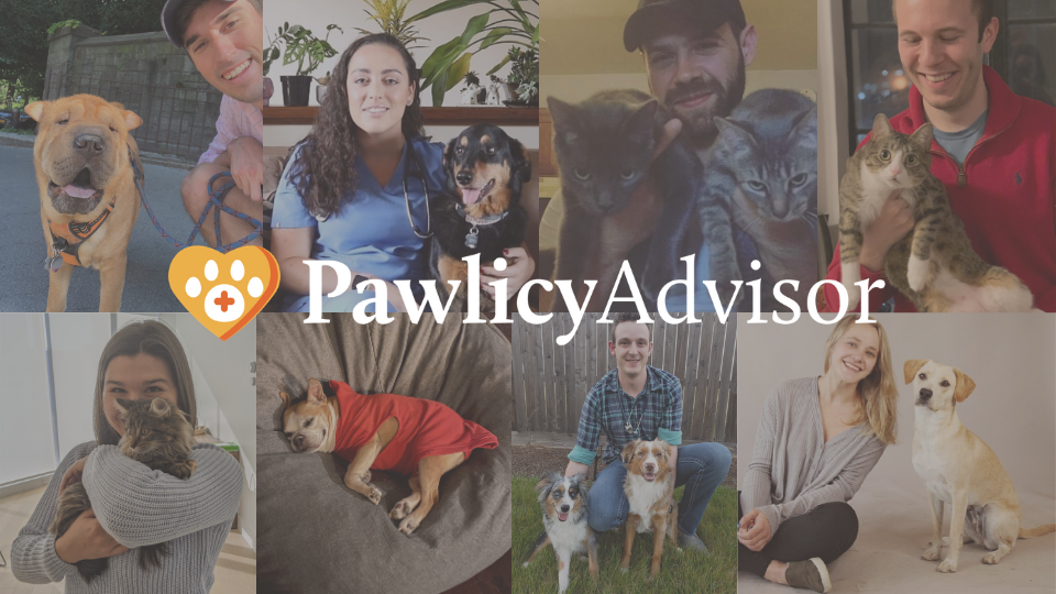 With the successful fundraise of a $6.5M Series A, Pawlicy Advisor's pet insurance marketplace is transforming the industry. Read on to learn how.