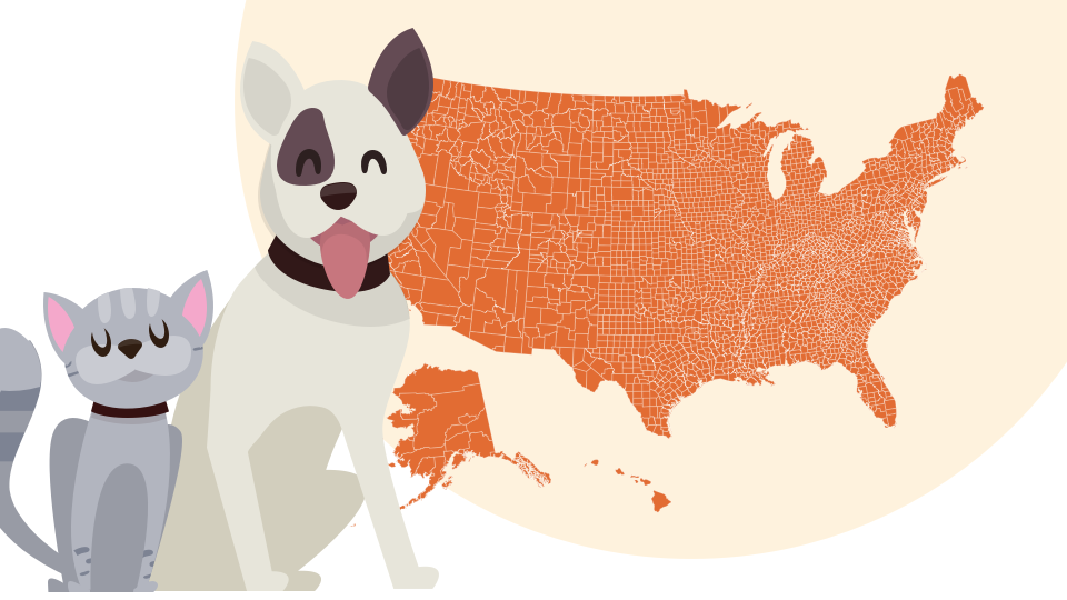 pets across the united states