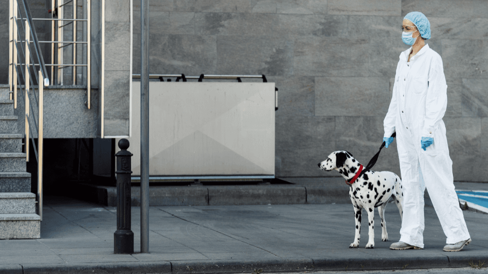 veterinary curbside pickup with PPE