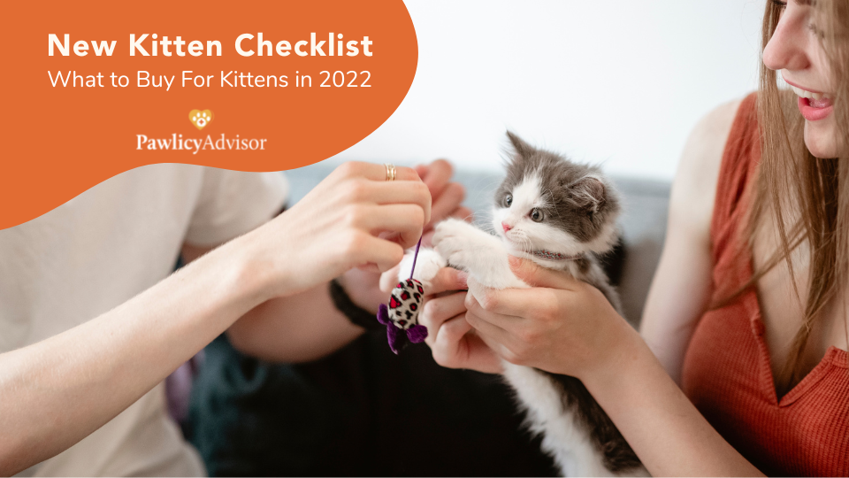 new kitten checklist