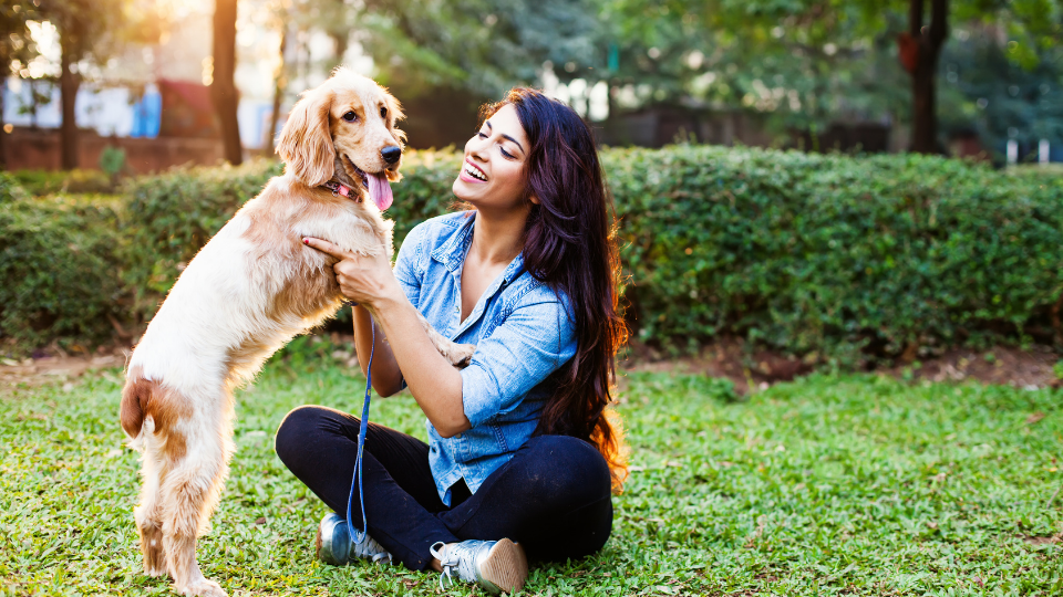 Embrace offers pet insurance for cats and dogs, with up to 90% reimbursement on vet bills. Keep reading to find out if it is the right choice for your pet.