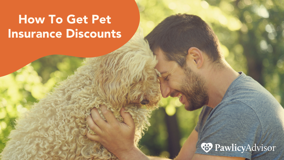 pet insurance discounts