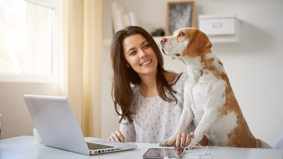 Is Farmers Pet Insurance the best choice for you and your pet? Find out more about the company’s plans, exclusions, pricing, discounts, and more to see how it compares to other pet insurers.