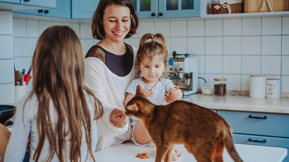 Is Costco Pet Insurance the best option for you and your beloved pet? Learn more about the company’s policies, unique features, pricing, and more to see how it compares to other pet insurance providers. 