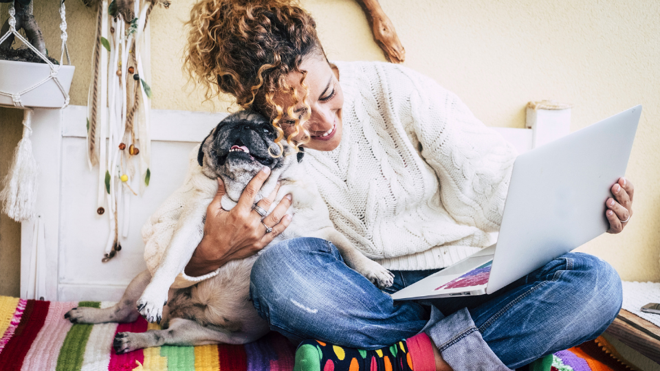 What are the top alternatives to pet insurance? Learn other ways you may be able to save on vet bills to see which option is best.
