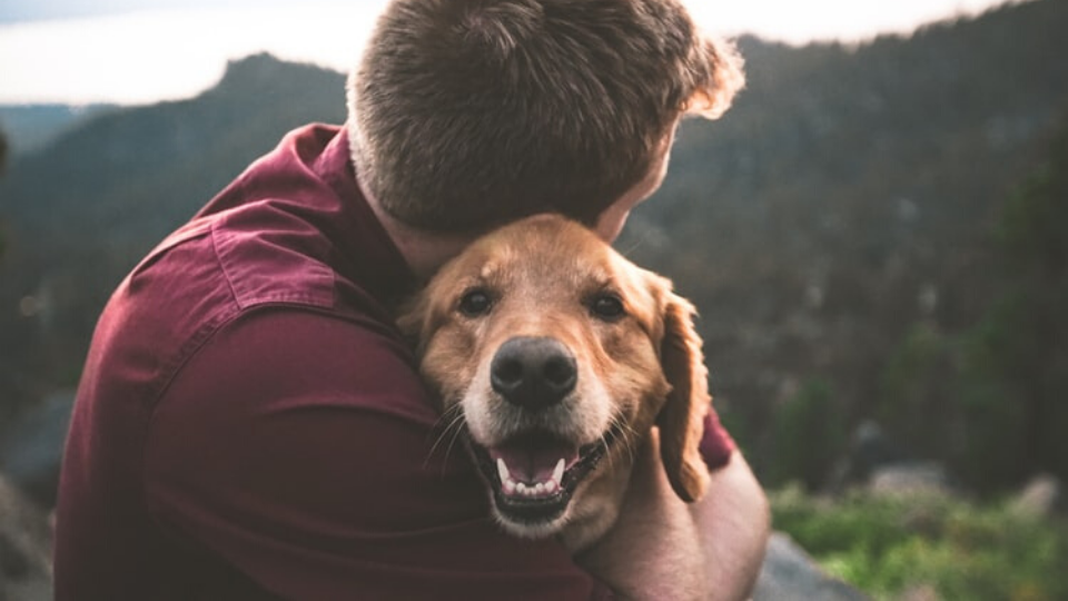 Pawlicy Advisor raised $1M to make it easy to do the right thing as a pet parent and transform the pet insurance industry. Here's why veterinarians are excited.