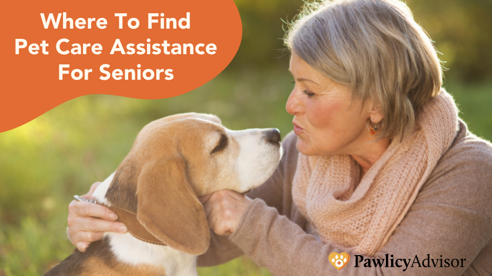 There are many health benefits to owning pets for seniors, but caretaking can be expensive on a limited income. Here’s how to find financial assistance for senior pet owners.