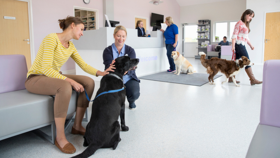 veterinary clients waiting with pets