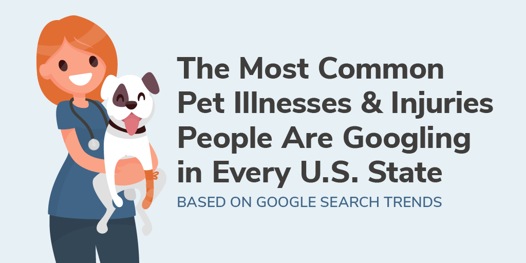 Title graphic for the Commonly Searched Pet Illnesses & Injuries in Every U.S. State