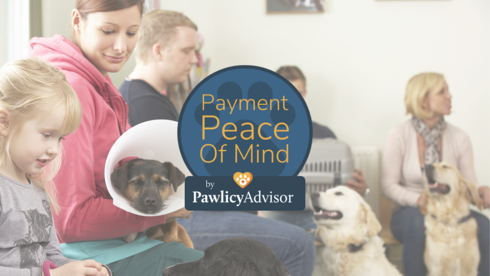 Payment Peace of Mind badge overlaying a vet clinic waiting room
