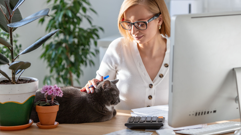 woman petting cat while working